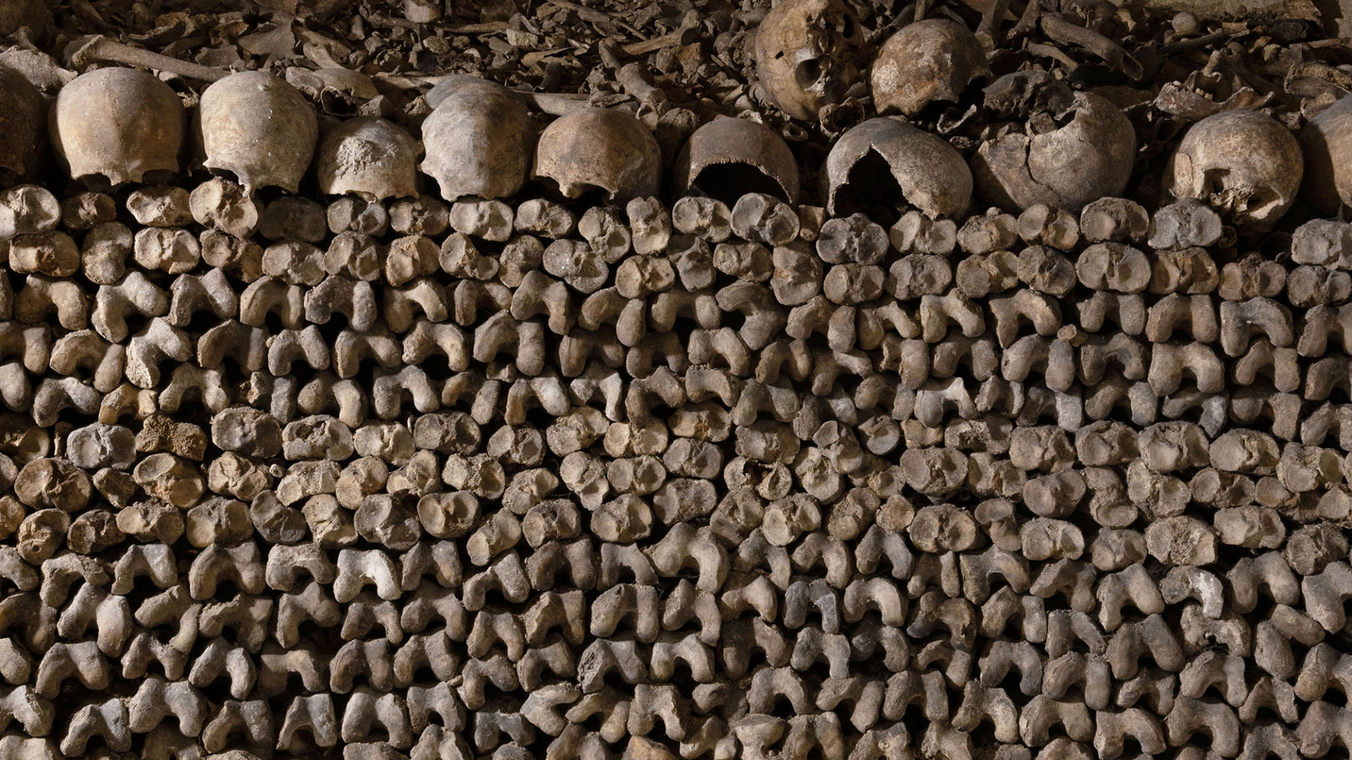 Vue d'un mur d'ossements